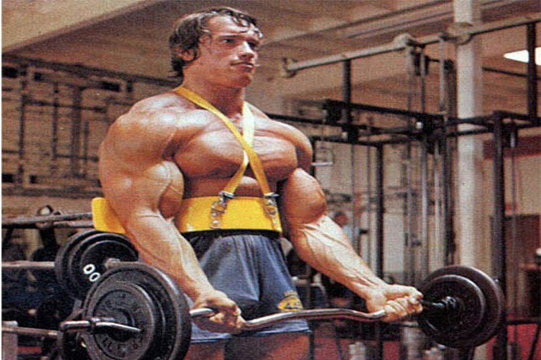 Arnold Schwarzenegger - 1080x720 Wallpaper Arnold Schwarzenegger - 1080x720 Wallpaper