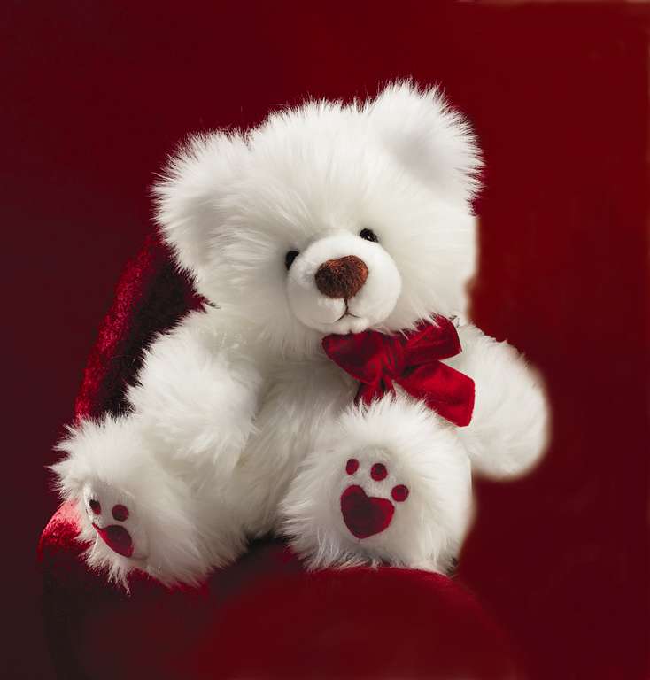 Friends - Cute Wallpaper Teddy Bear - 734x768 Wallpaper Friends - Cute Wallpaper Teddy Bear - 734x768 Wallpaper