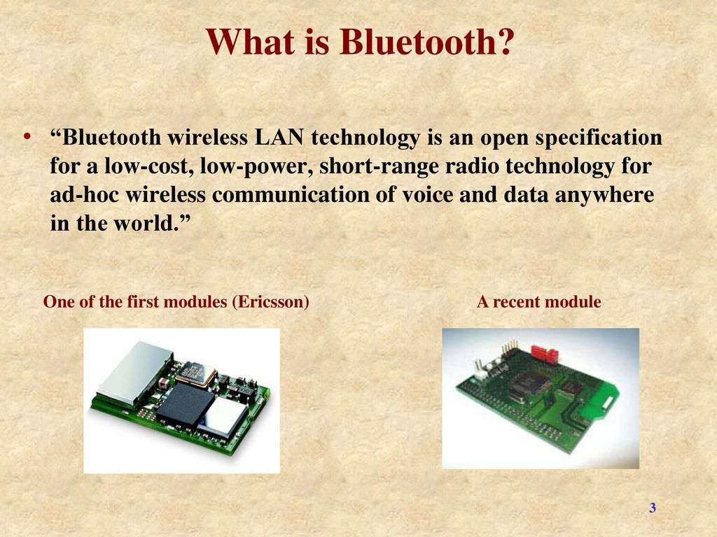 蝴蝶 - HD Wallpaper 