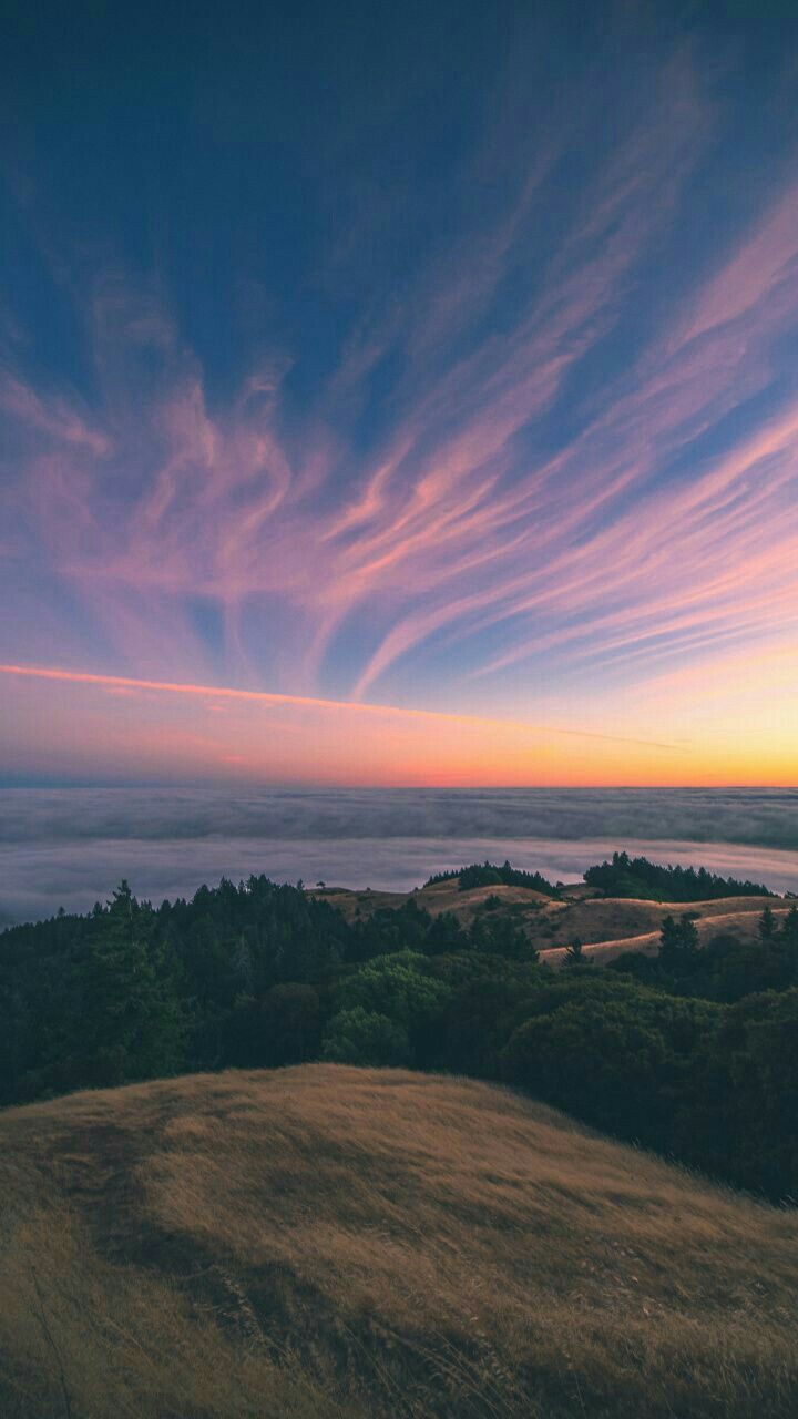 Aesthetic Nature Sunset Background - 720x1280 Wallpaper 