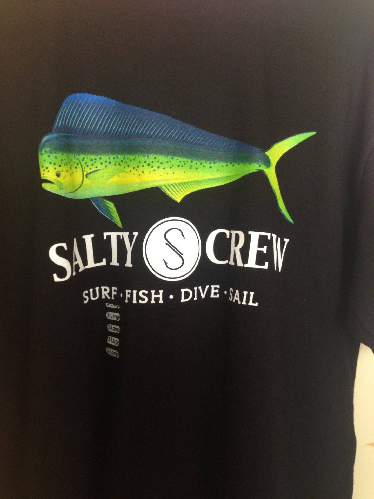 Marine Mammal - HD Wallpaper 