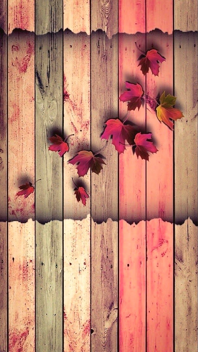 Zoya Name Wallpaper - 640x1136 Wallpaper Zoya Name Wallpaper - 640x1136 Wallpaper