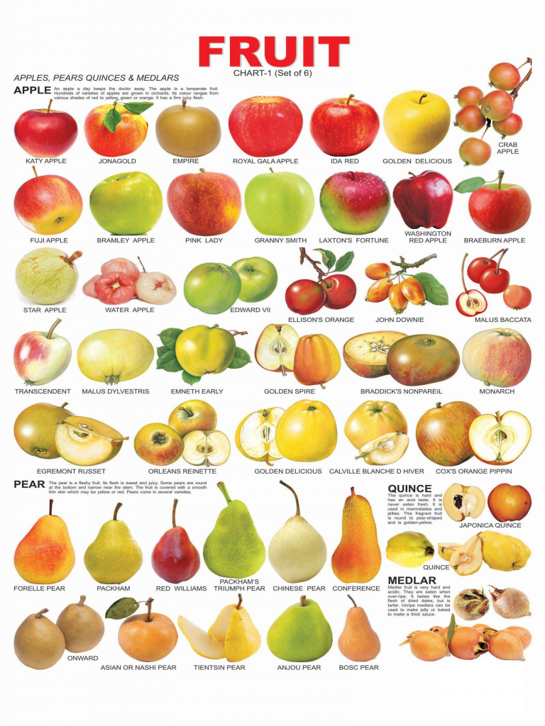 All Fruit Name List - HD Wallpaper 