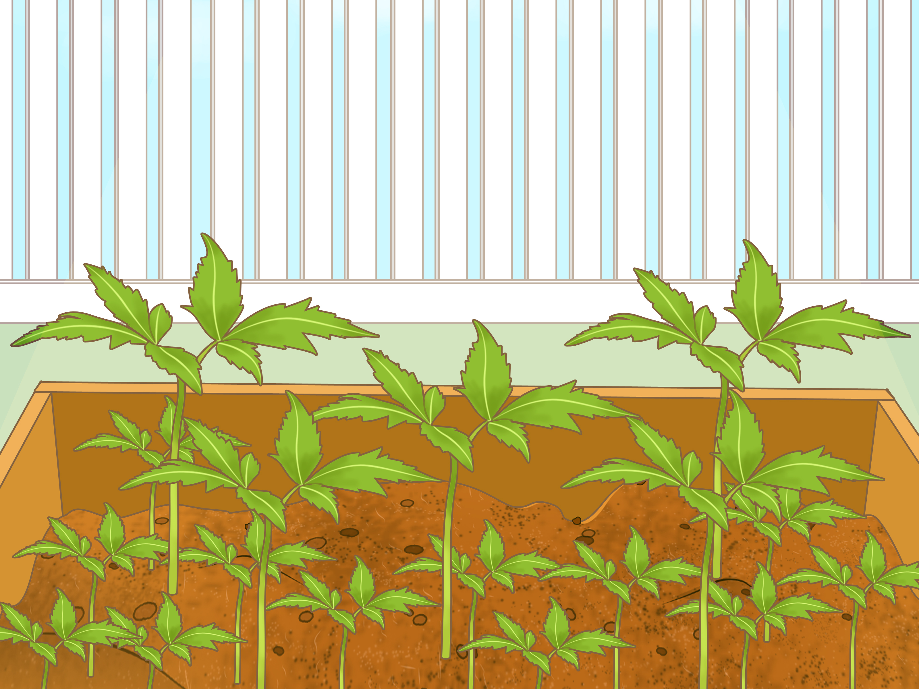 Image Titled Protect Your Garden During A Harsh Summer - Plantation - HD Wallpaper 