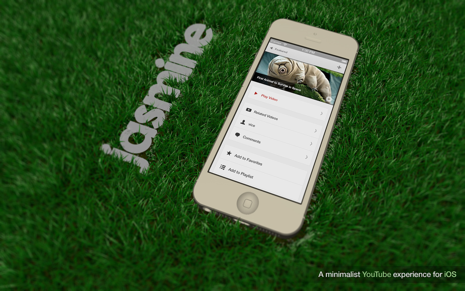 1920x1200, Name Logo Wallpaper Source Â - Artificial Turf - HD Wallpaper 