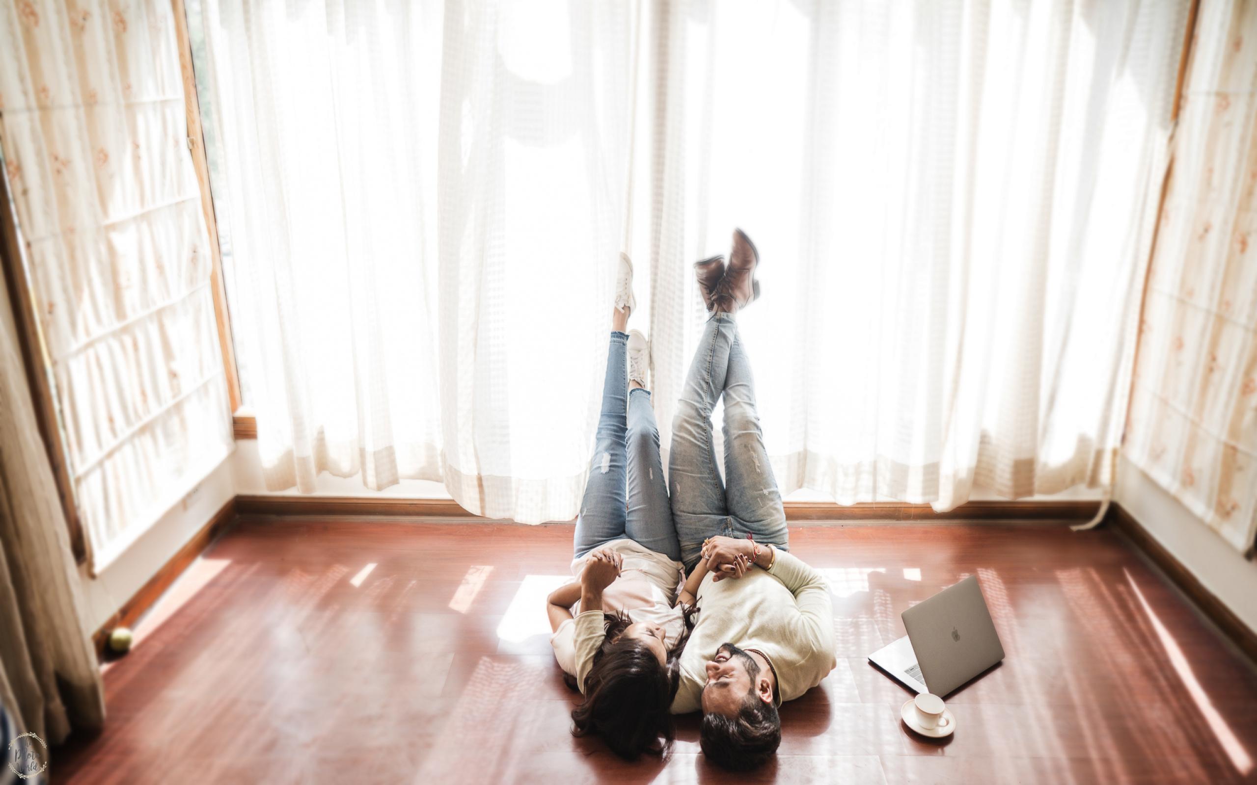 The Photo World - Standard Schnauzer - HD Wallpaper 