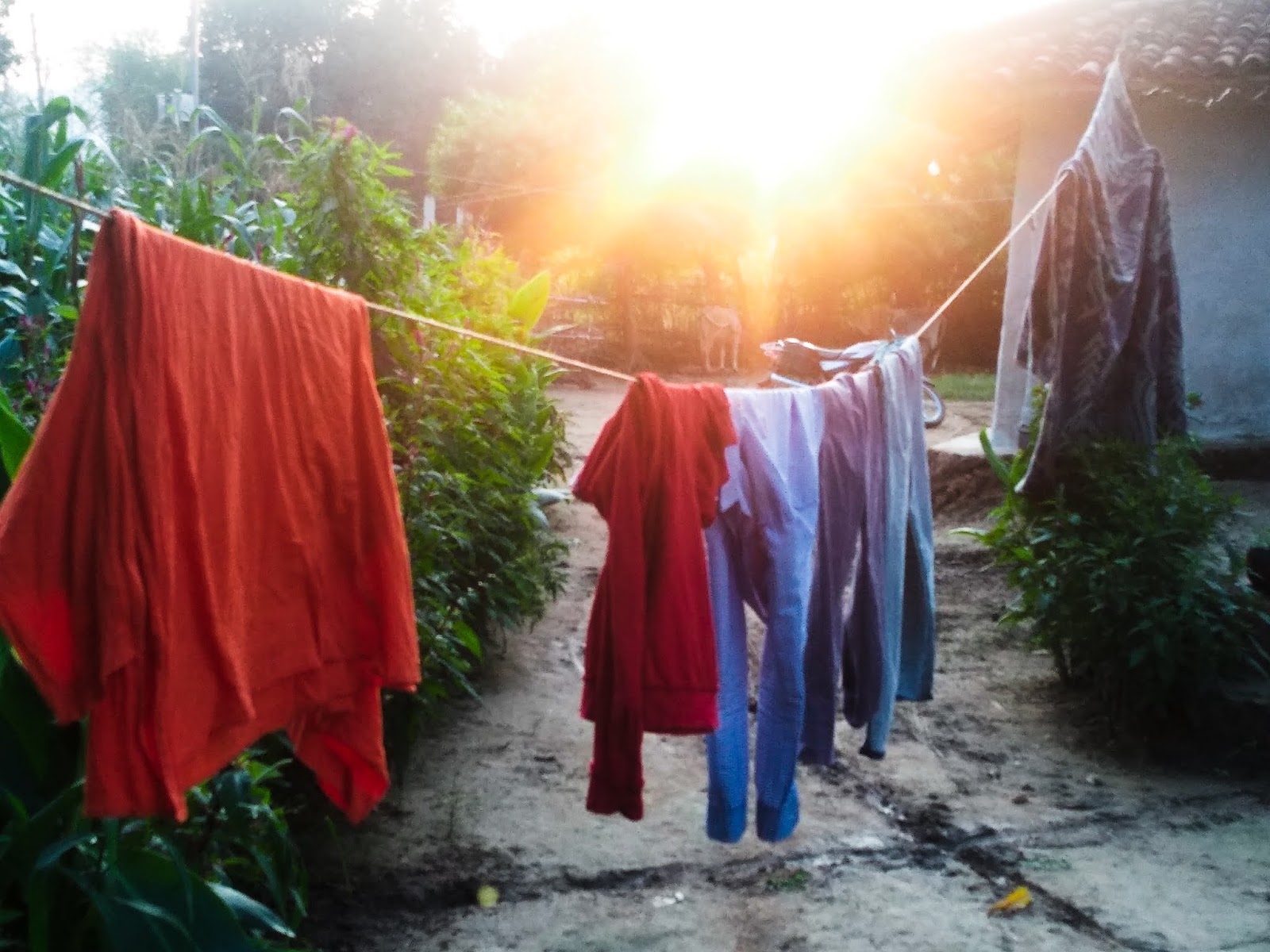 Image - Sunlight - HD Wallpaper 