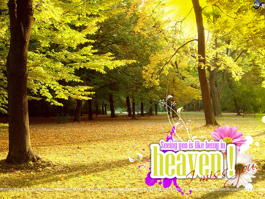 Nature Ethereal - HD Wallpaper 