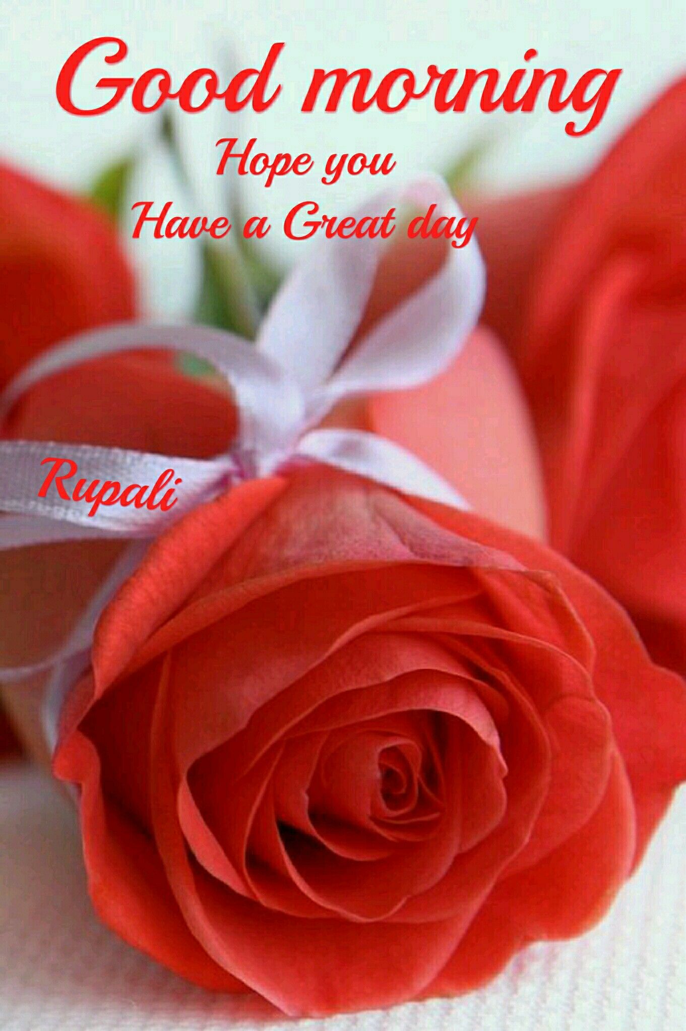 Beautiful Wallpaper Hd Pink Rose - HD Wallpaper 