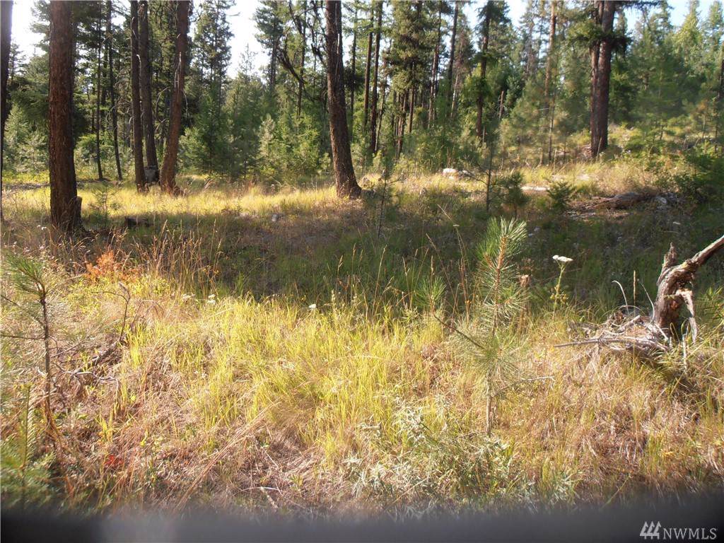 Spruce-fir Forest - HD Wallpaper 