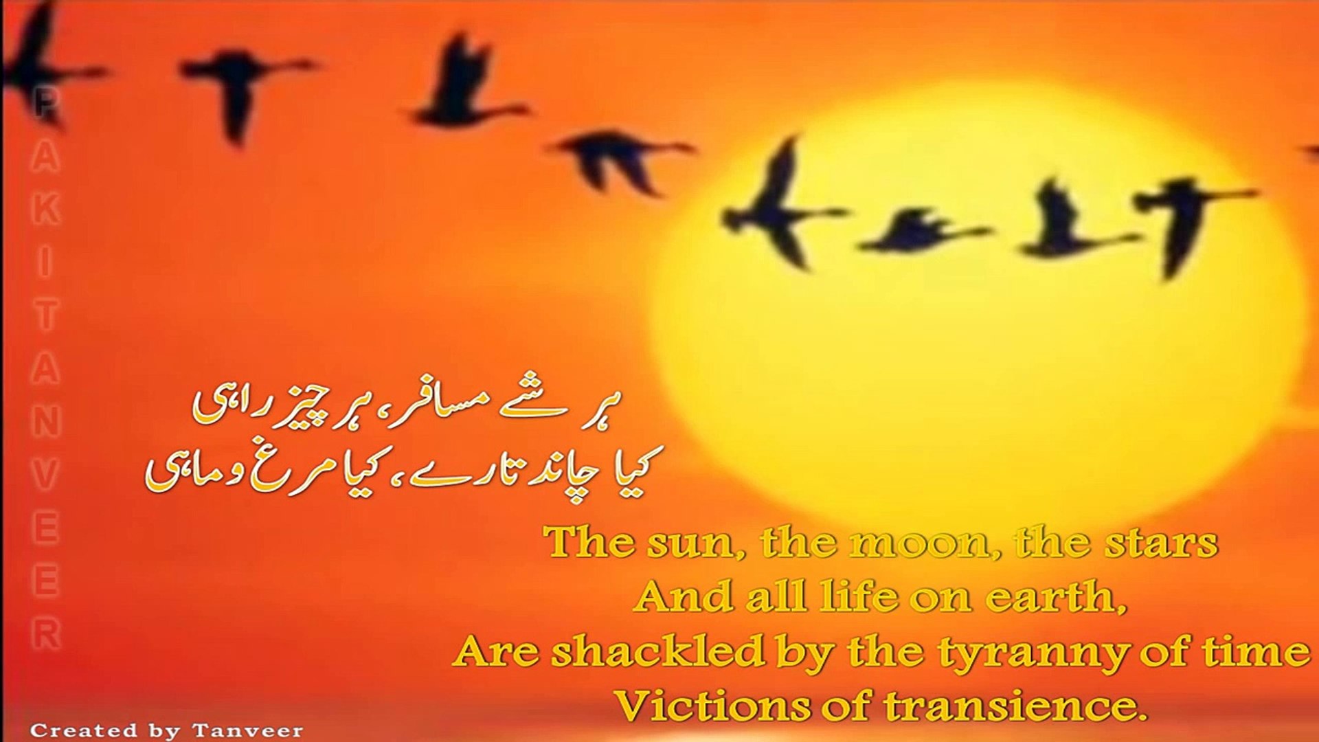 Poster - HD Wallpaper 