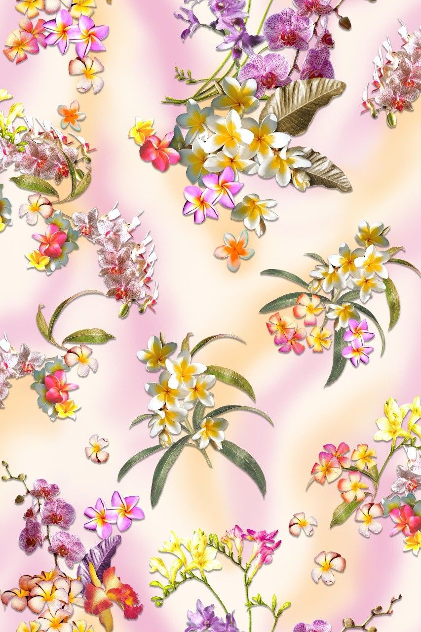 Lily Family - HD Wallpaper 