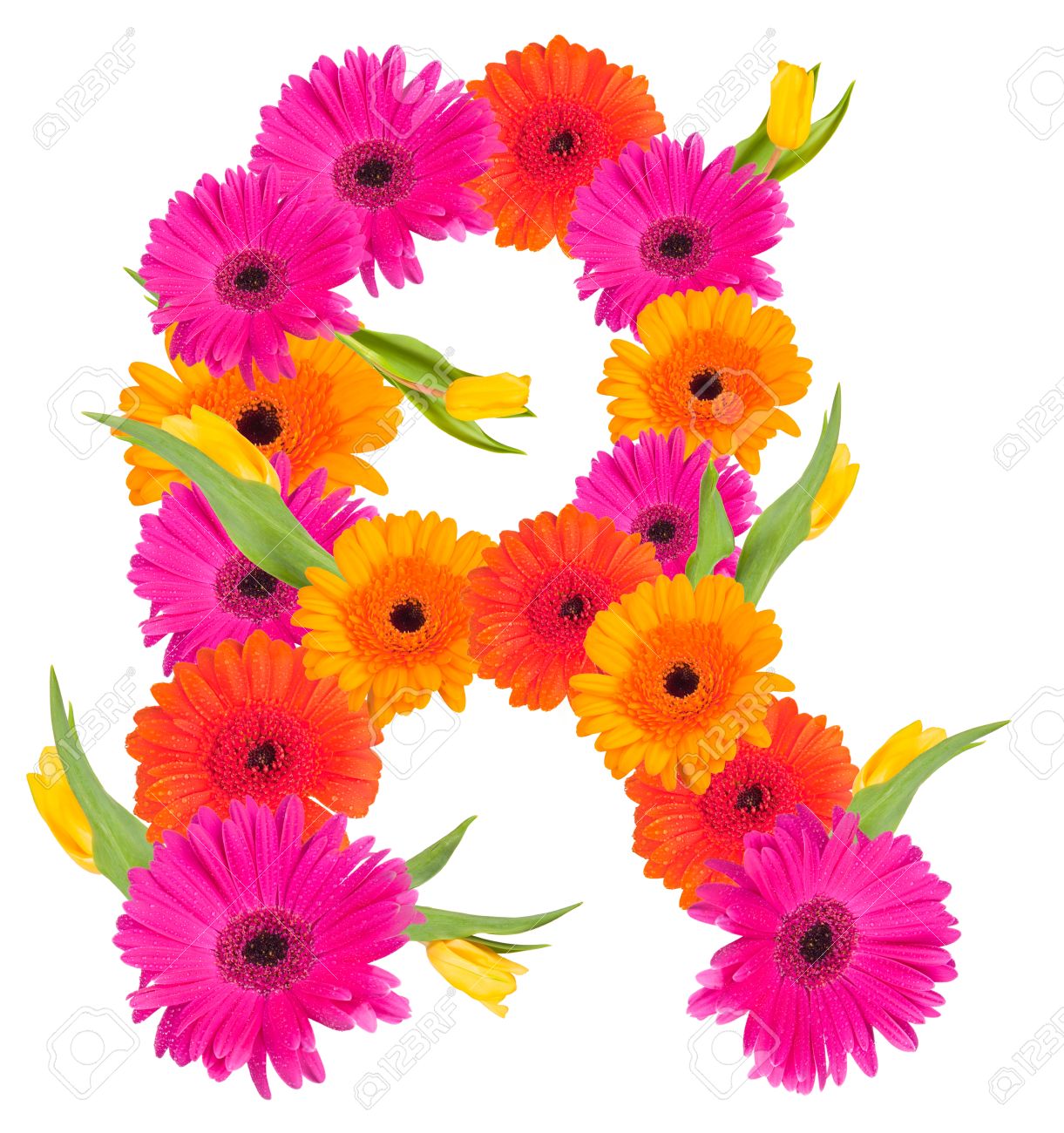 Alphabet - HD Wallpaper 