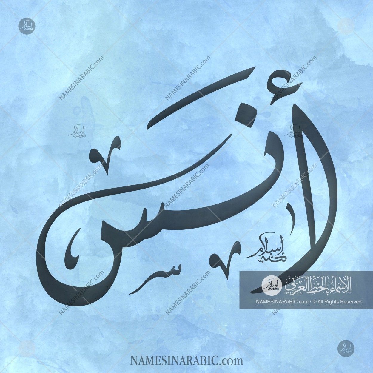Anas Name In Urdu - HD Wallpaper 