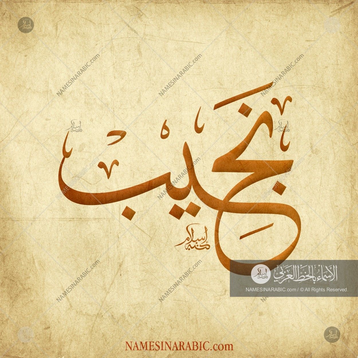 Yahya In Arabic Calligraphy - HD Wallpaper 
