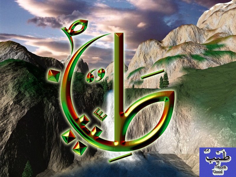 Pc Game - HD Wallpaper 