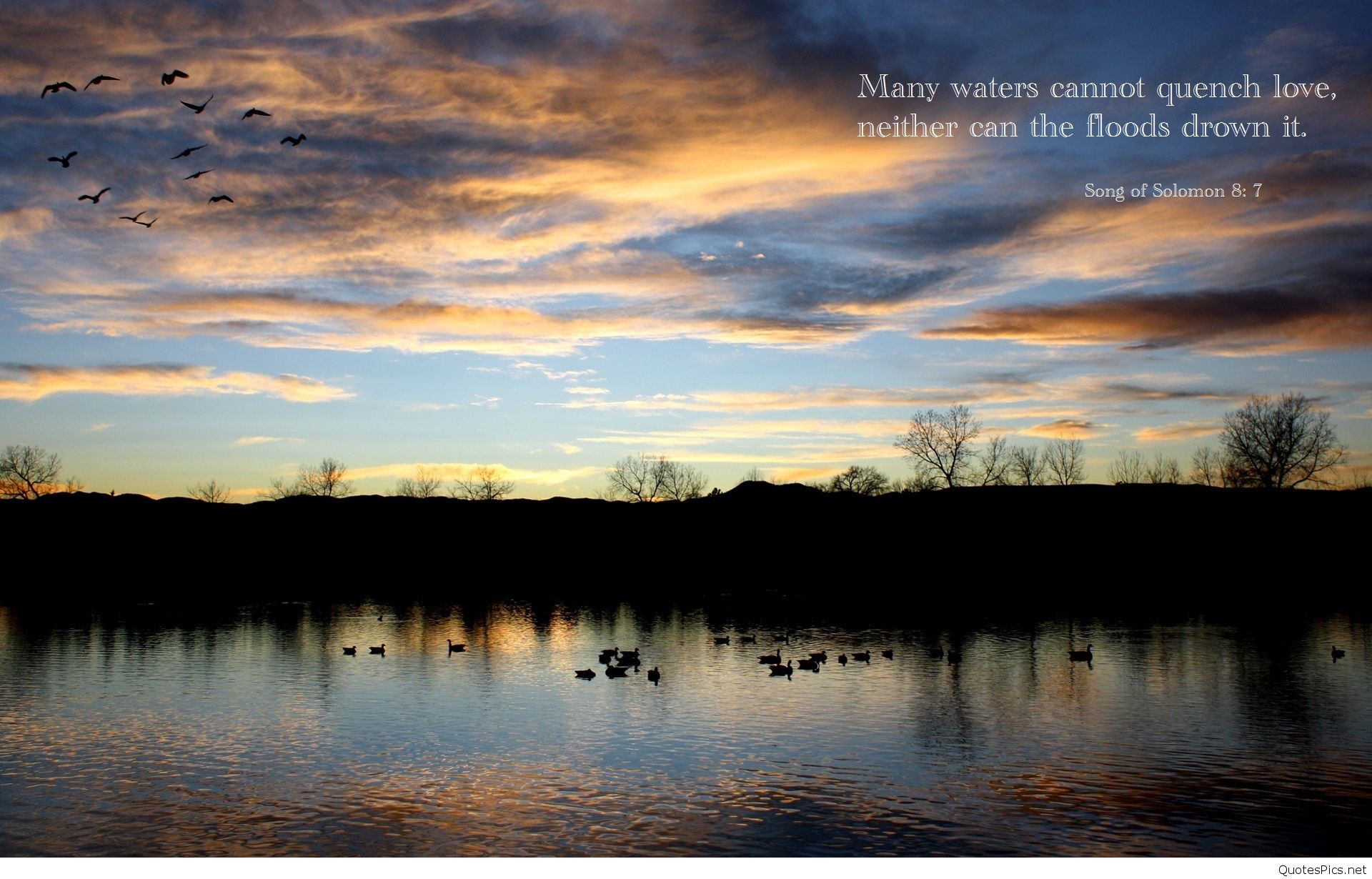 1920x1230, Jesus Christ Wallpaper Picture With Bible - Hd Backgrounds With Bible Verse - HD Wallpaper 