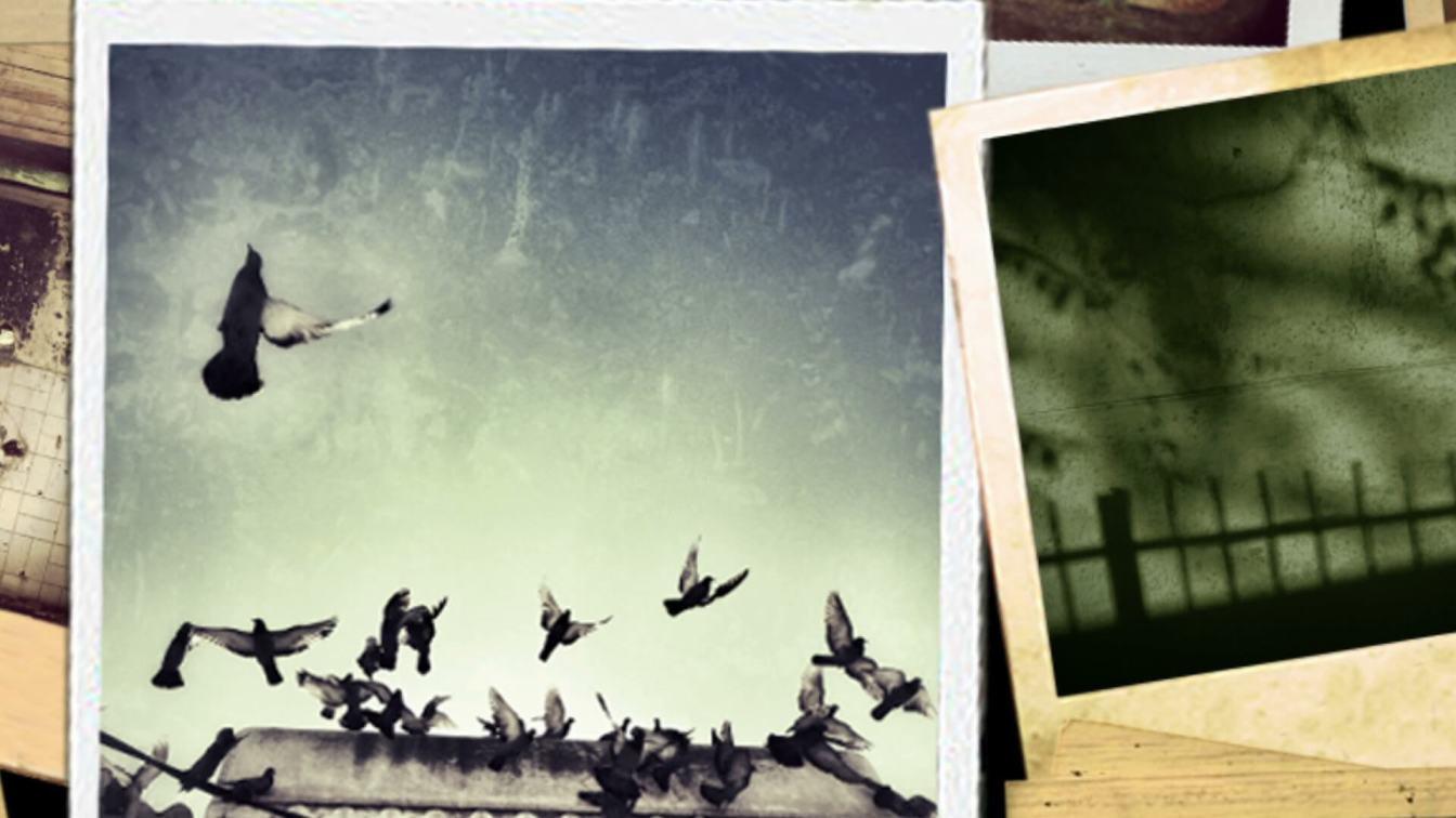 Visual Arts - HD Wallpaper 