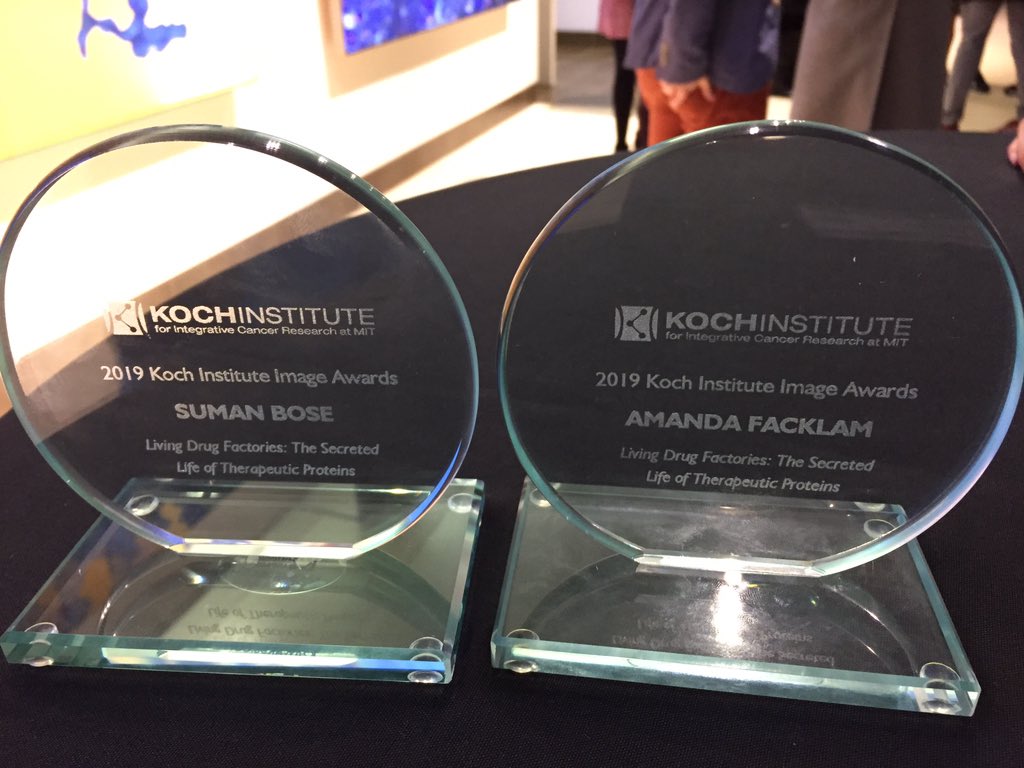 Commemorative Plaque - HD Wallpaper 