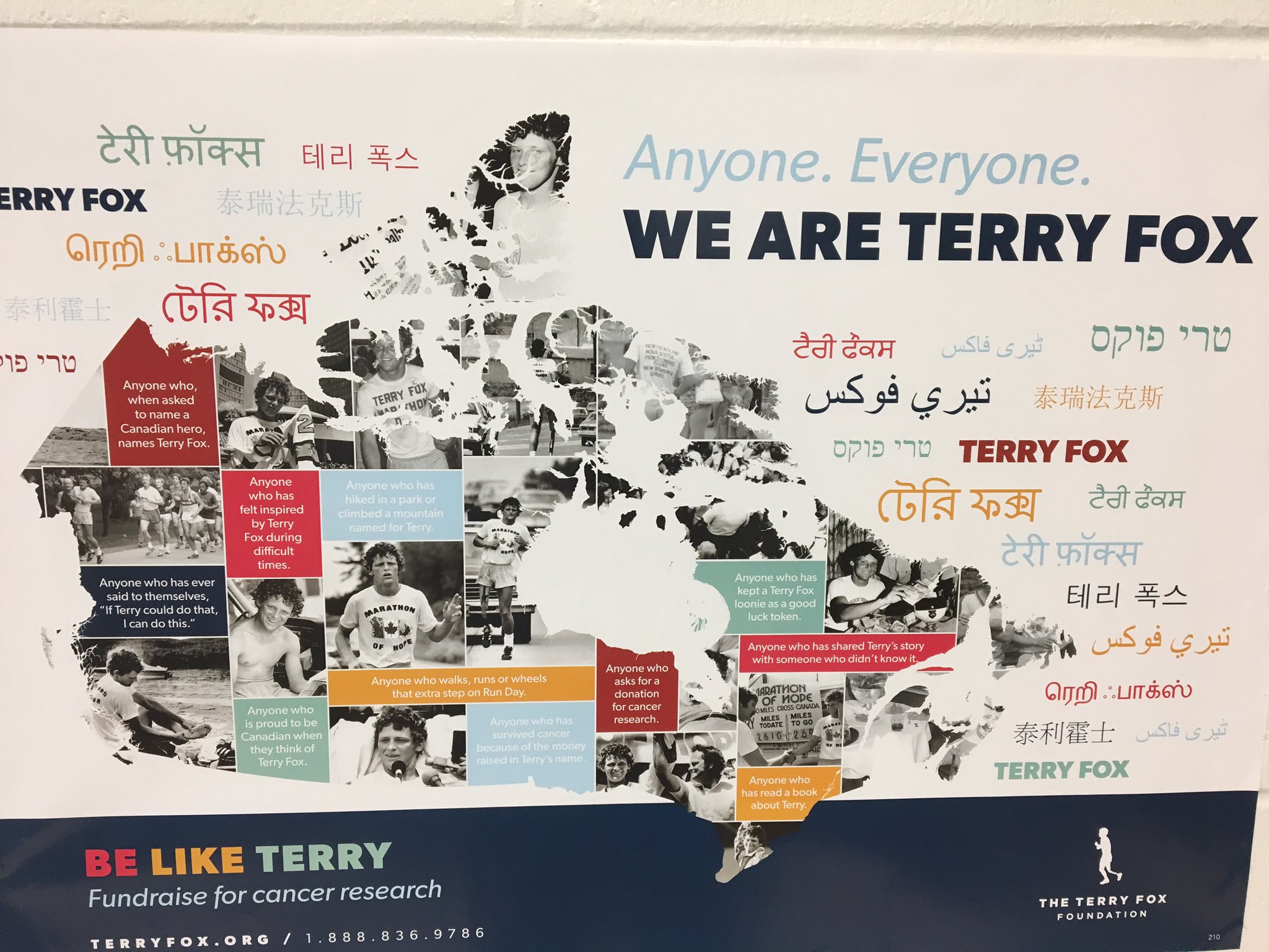 Flyer - HD Wallpaper 