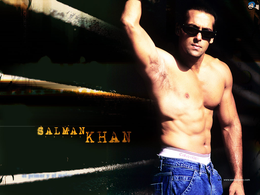 Salman Khan - Salman Khan Real Tiger - 1024x768 Wallpaper 