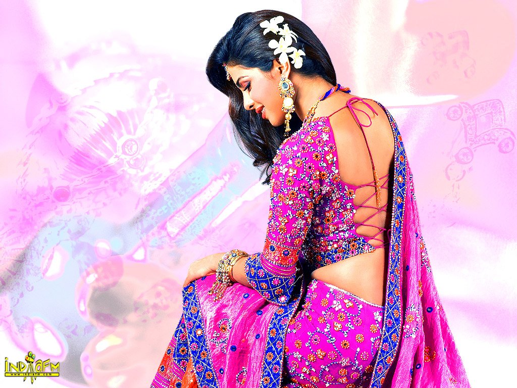 Null - Priyanka Chopra - HD Wallpaper 