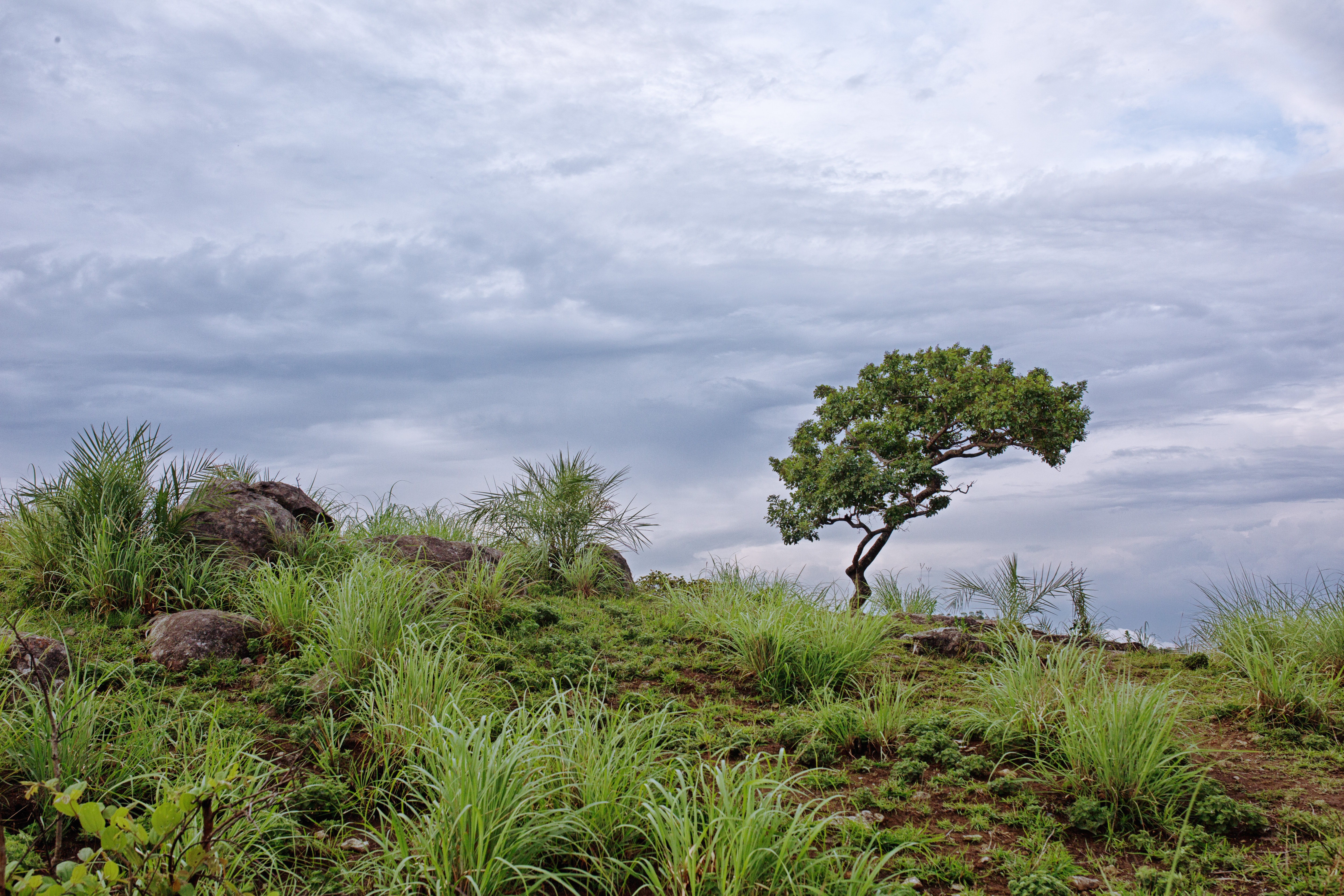 Vikas Name Wallpaper - HD Wallpaper 