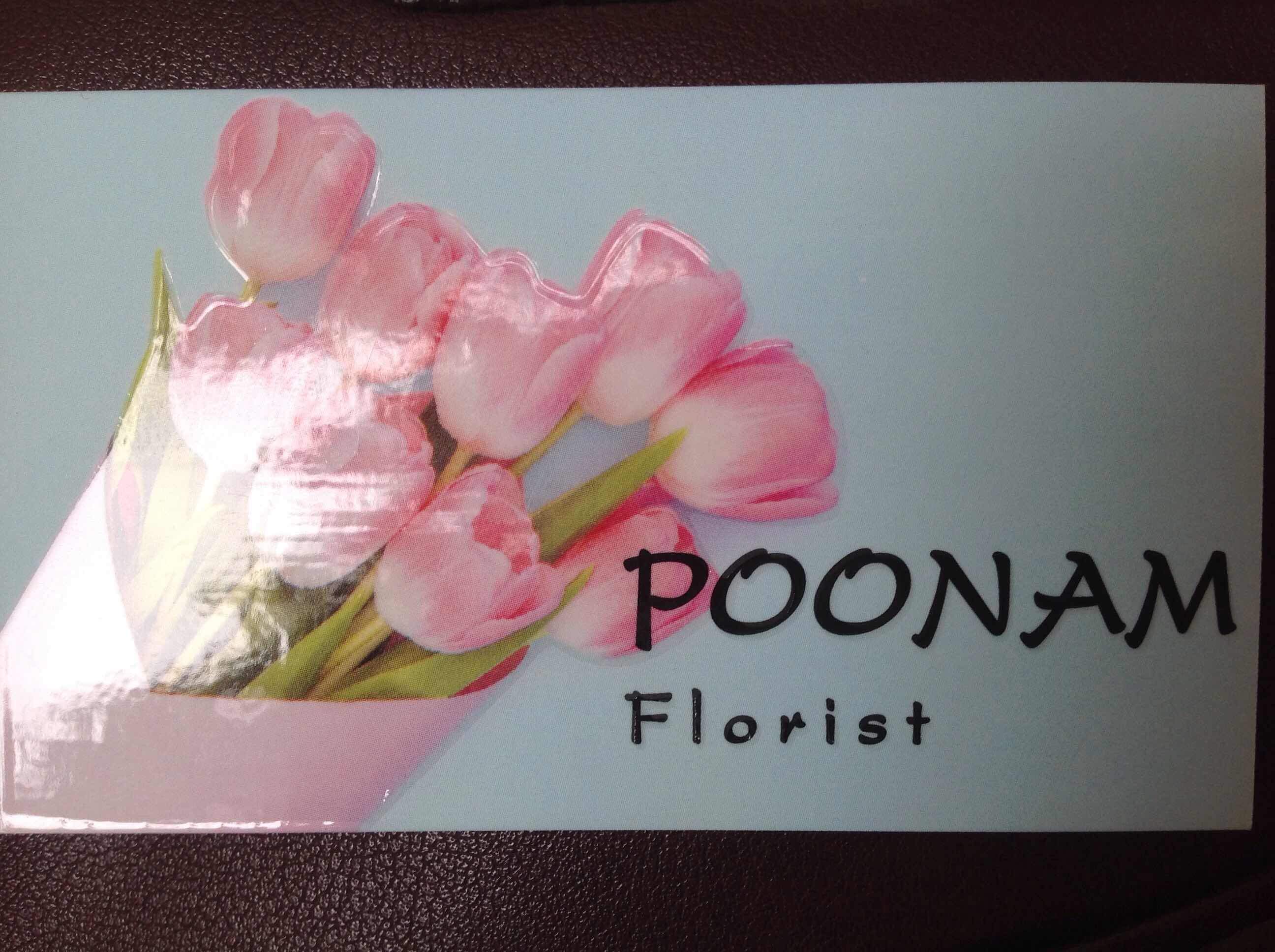 Tulip - HD Wallpaper 