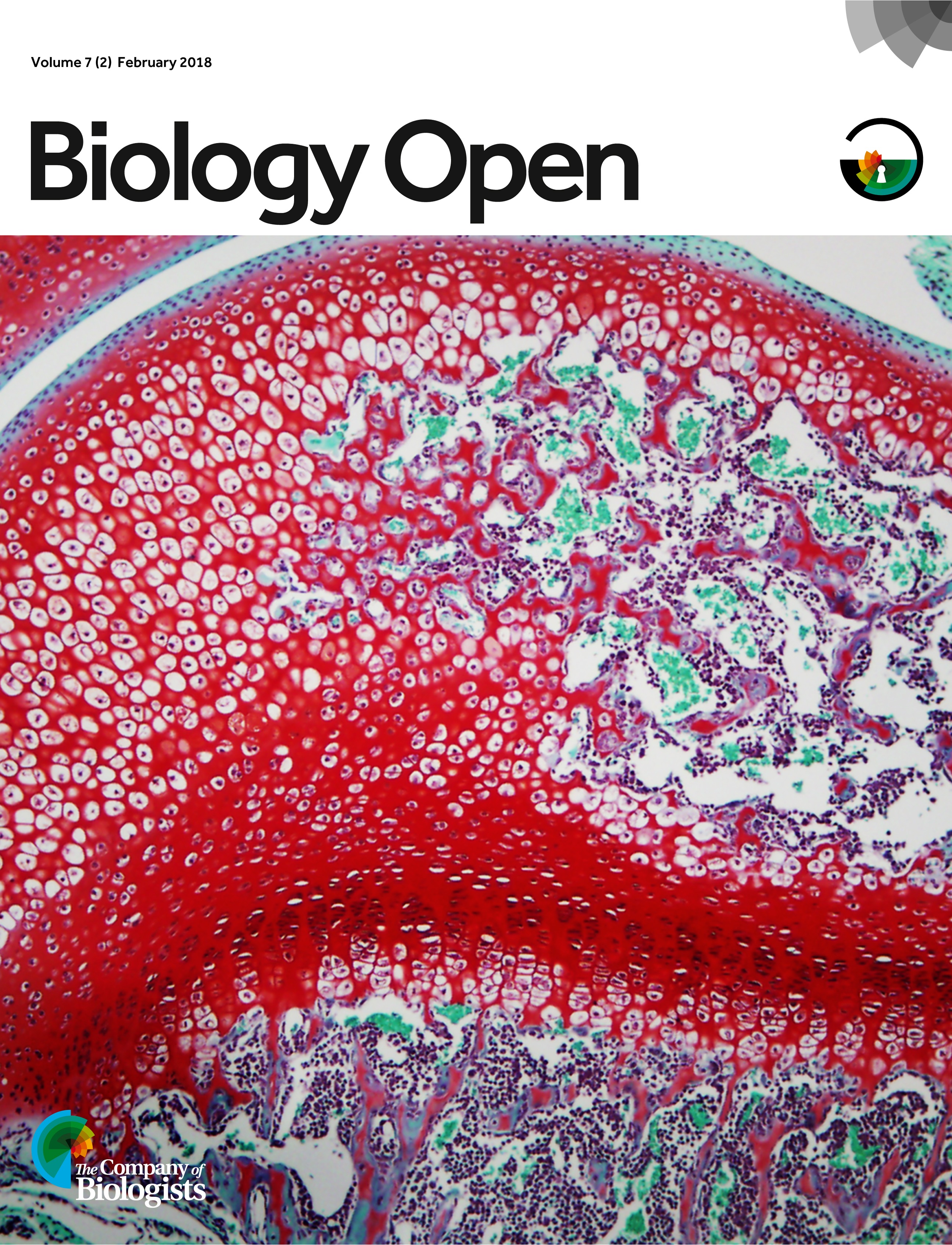 Screenshot - HD Wallpaper 