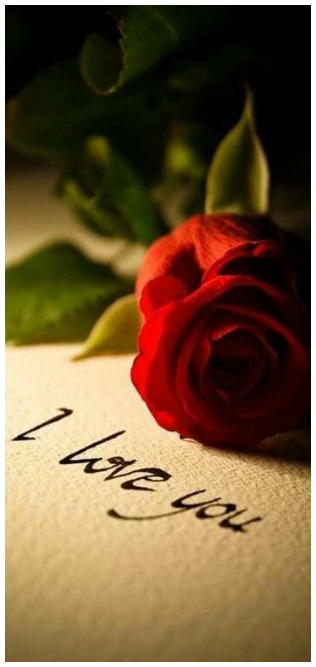 Romantic Love You Roses - HD Wallpaper 