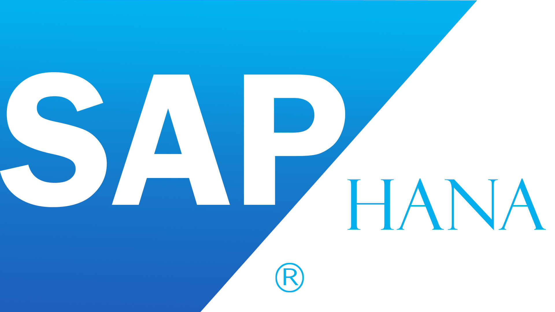 Sap Hana - HD Wallpaper 