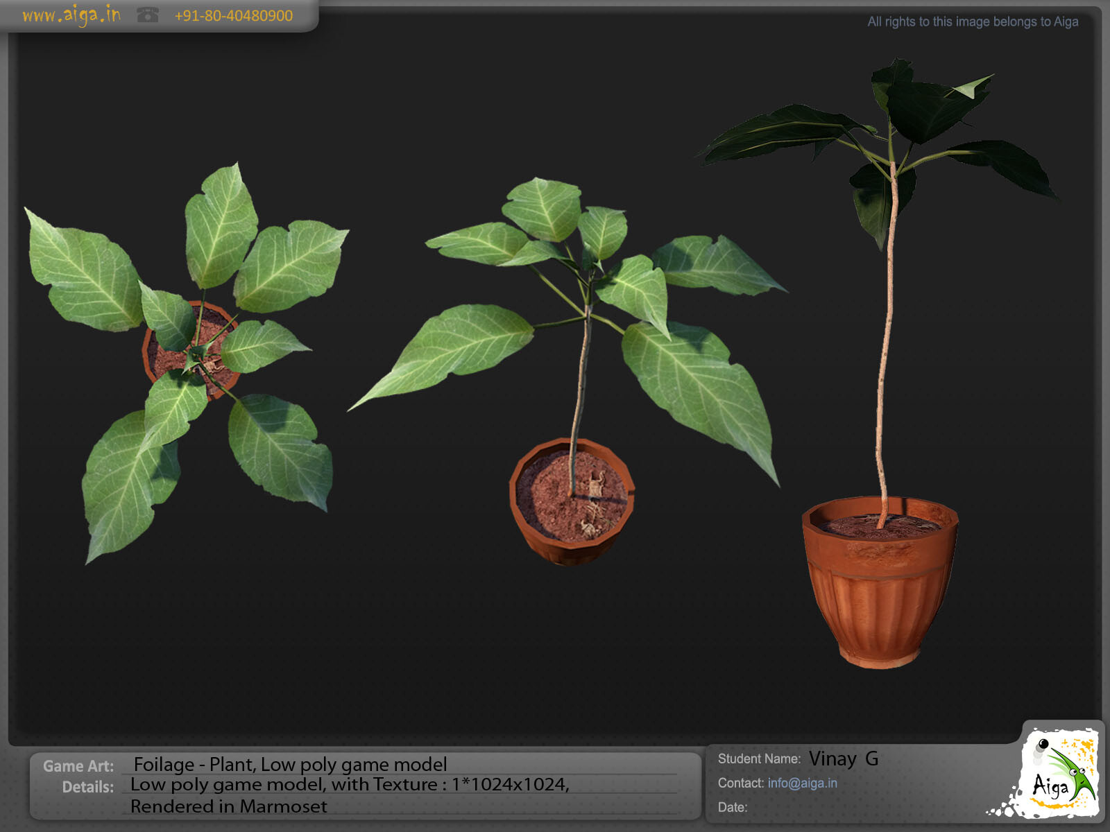 Screenshot - HD Wallpaper 