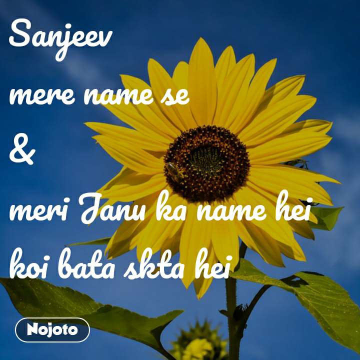 Sanjeev
mere Name Se 
&
meri Janu Ka Name Hei Koi Bata - Sunflower - HD Wallpaper 