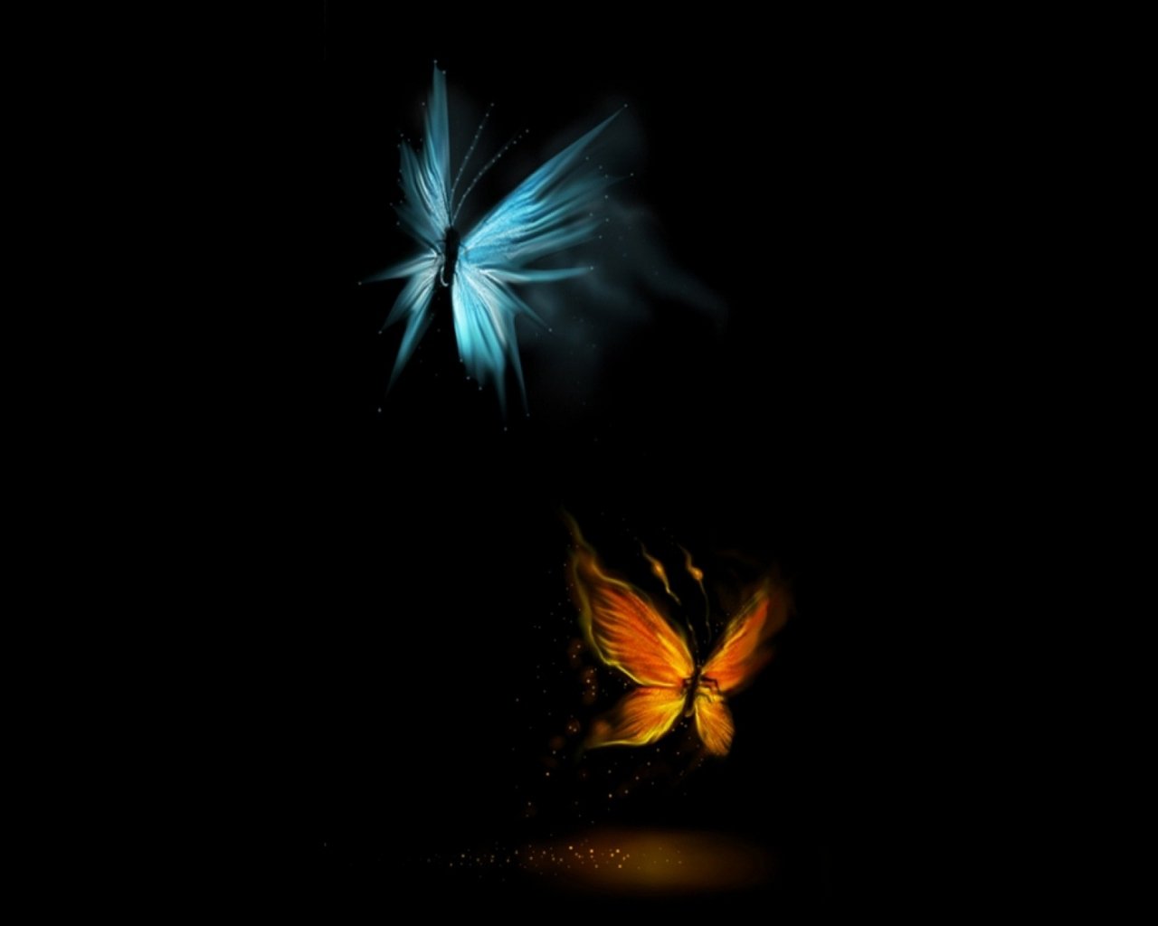 Butterfly Effect Wallpapers - Black Background Hd Love - 1280x1024  Wallpaper 