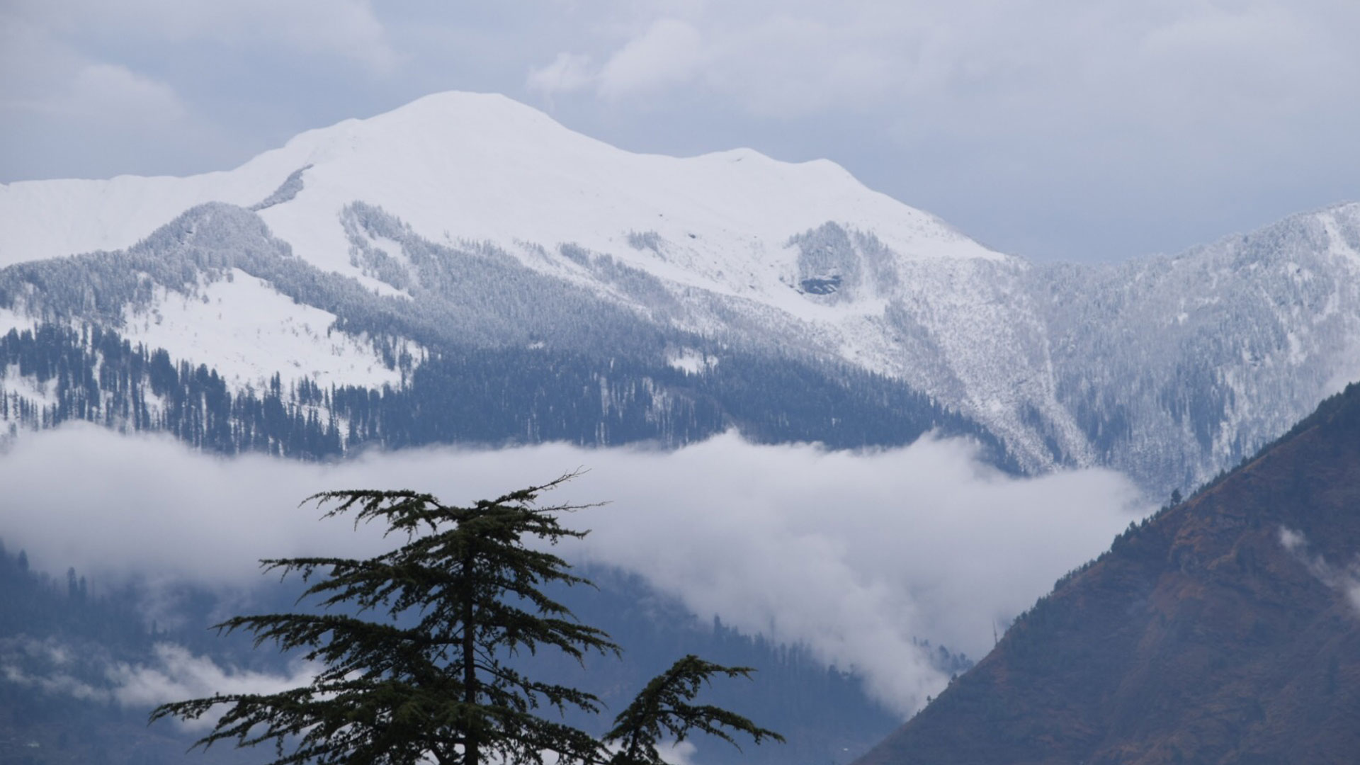 Winter View Of Snow Peaks From Hotel Sheetal - Summit - HD Wallpaper 