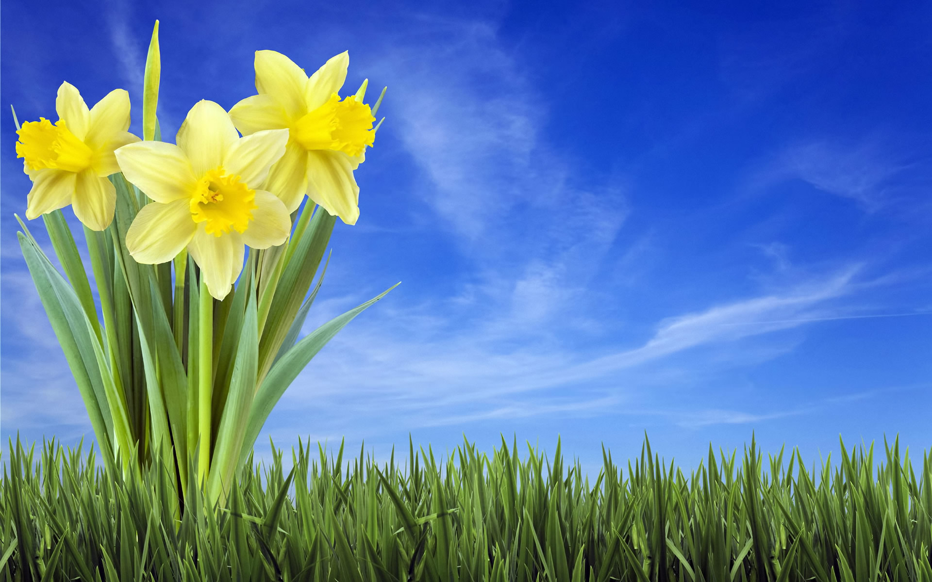 Clocks Spring Forward Uk - HD Wallpaper 