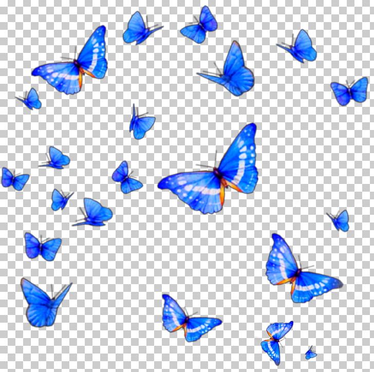 Butterfly Png, Clipart, Blue, Butterflies And Moths, - Transparent Background Butterfly Effect Png - HD Wallpaper 