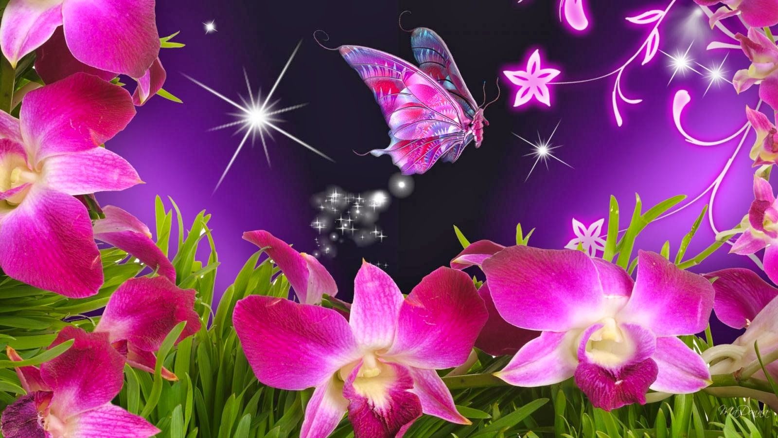 Beautiful Butterfly Photo Flower - HD Wallpaper 