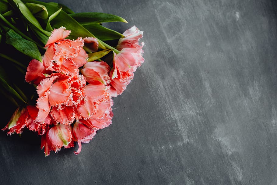 Colorful Flowers On Grey Background With Copy Space, - Flower Grey Background - HD Wallpaper 