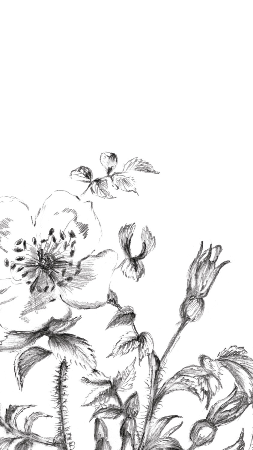 Sketch - HD Wallpaper 