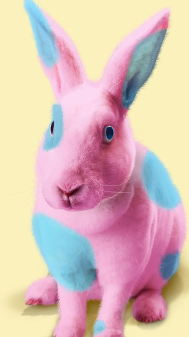 Cute Easter Wallpaper For Iphone - HD Wallpaper 