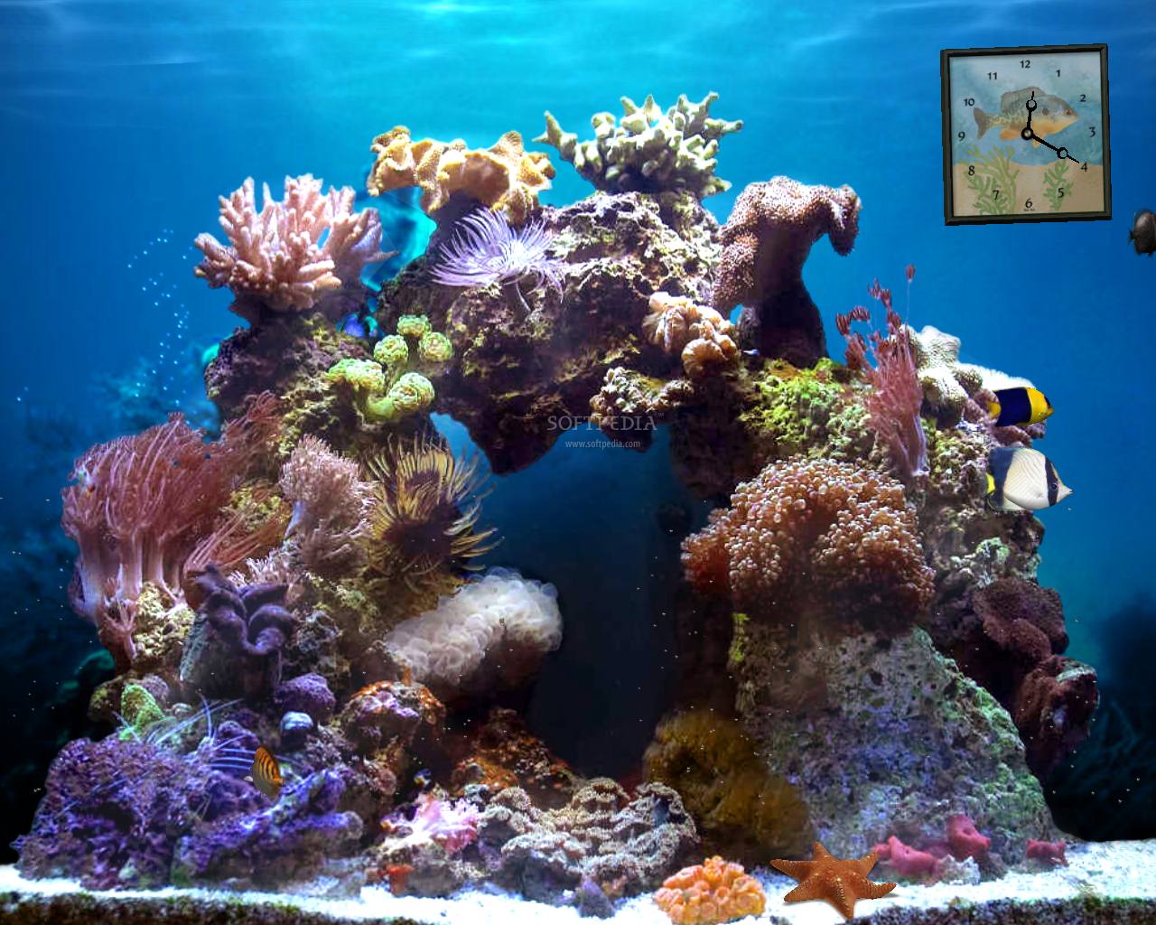 Aquarium 3d Wallpaper Animated - 1280x1024 Wallpaper 