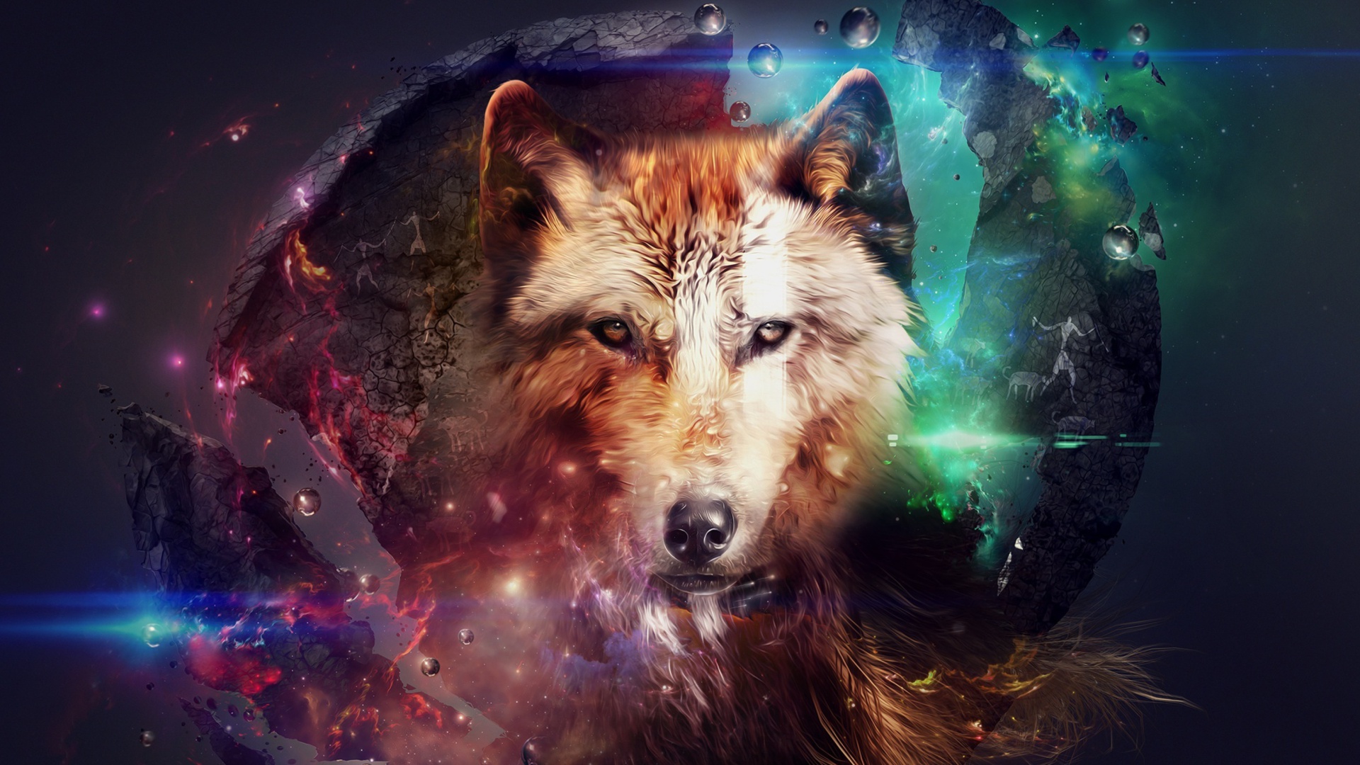 Wolf Wallpaper Hd - HD Wallpaper 