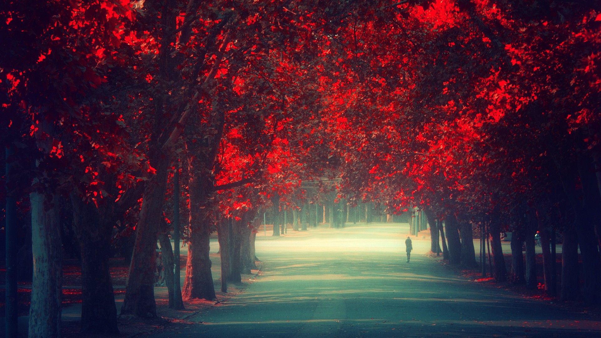 Autumn Tumblr Wallpapers Free With High Definition - Scenery Red Anime Background - HD Wallpaper 