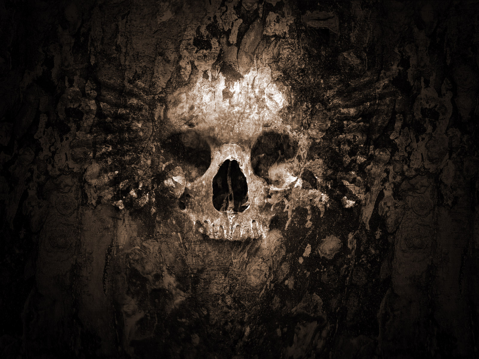3d Wallpaper Skull Download Image Num 29