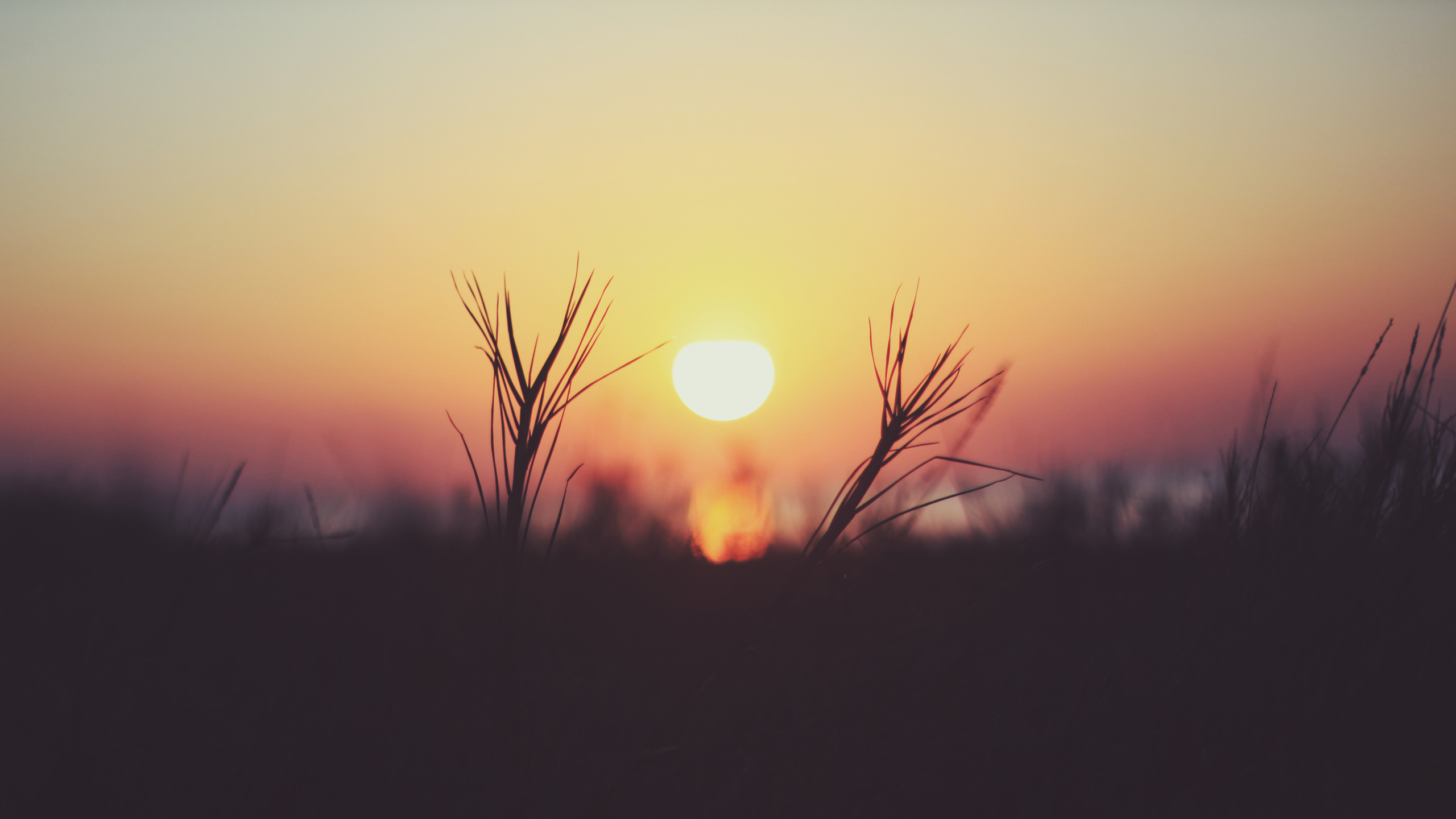 Sunrise Backgrounds - HD Wallpaper 