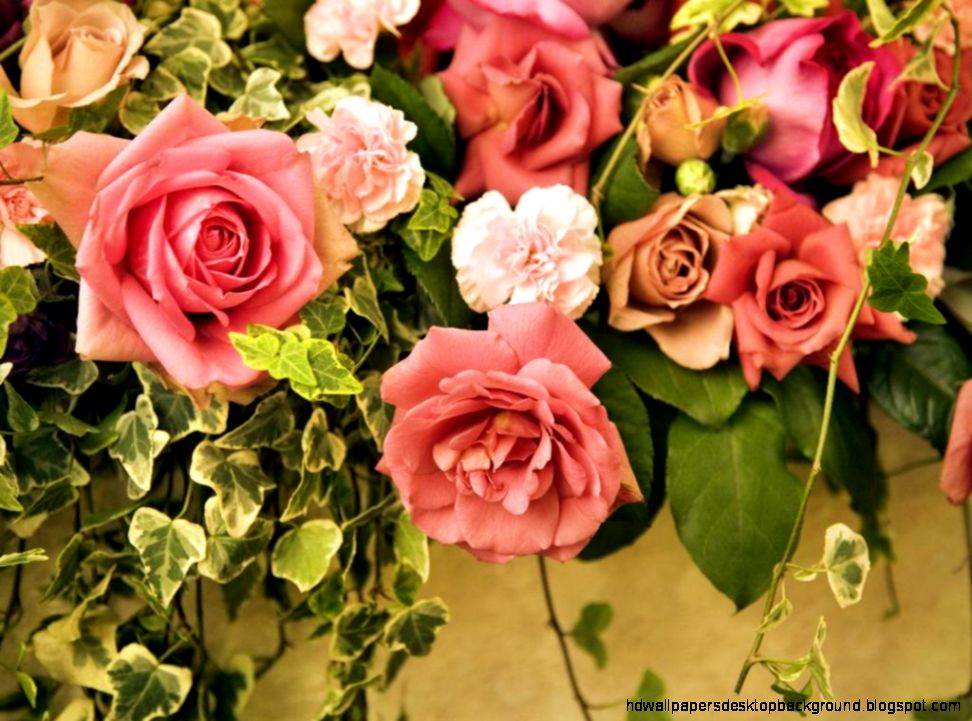 Beautiful Flowers Wallpaper Free Download - Flowers Beautiful Wallpaper Download - HD Wallpaper 