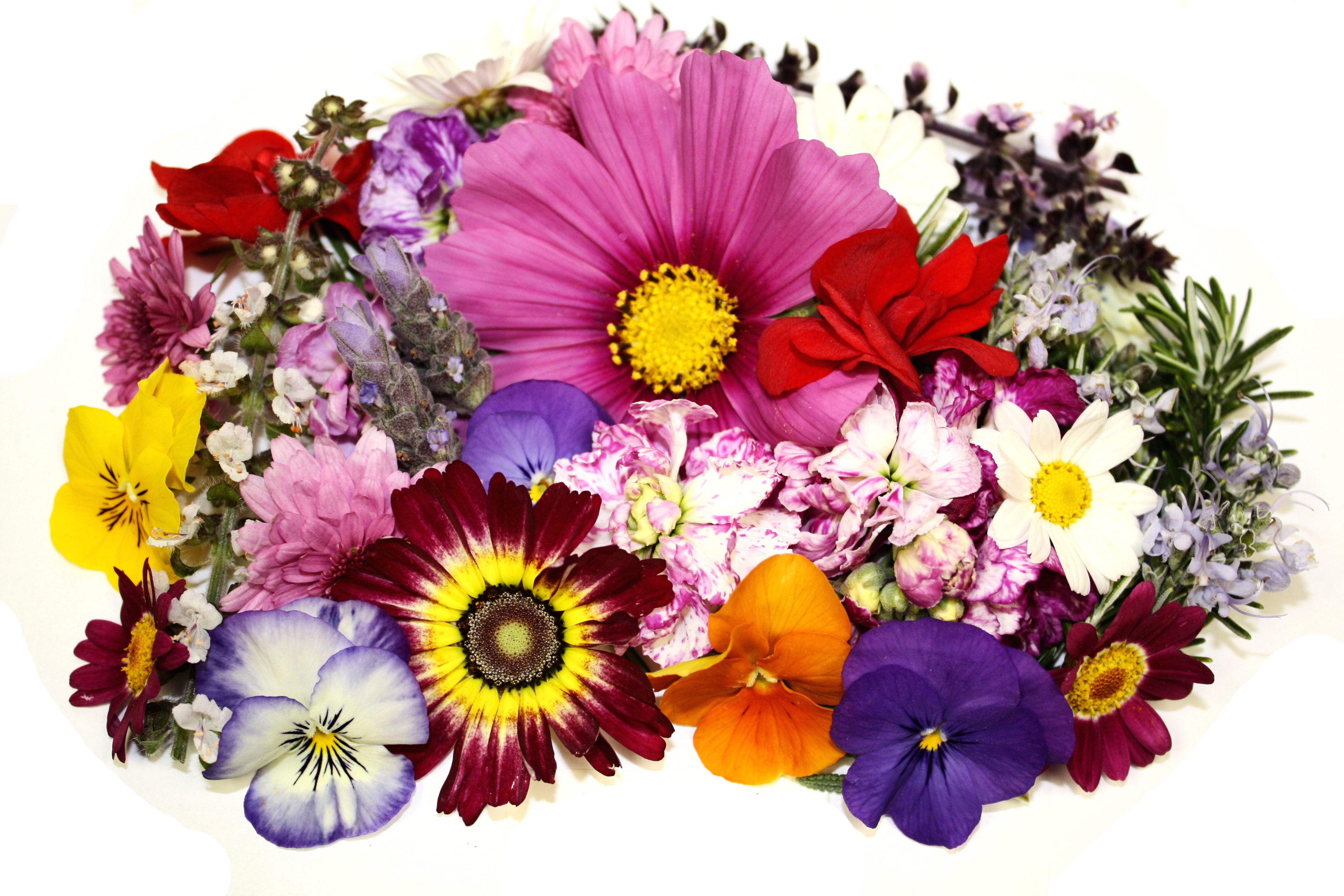 Edible Flowers - Happy New Year Ka - HD Wallpaper 