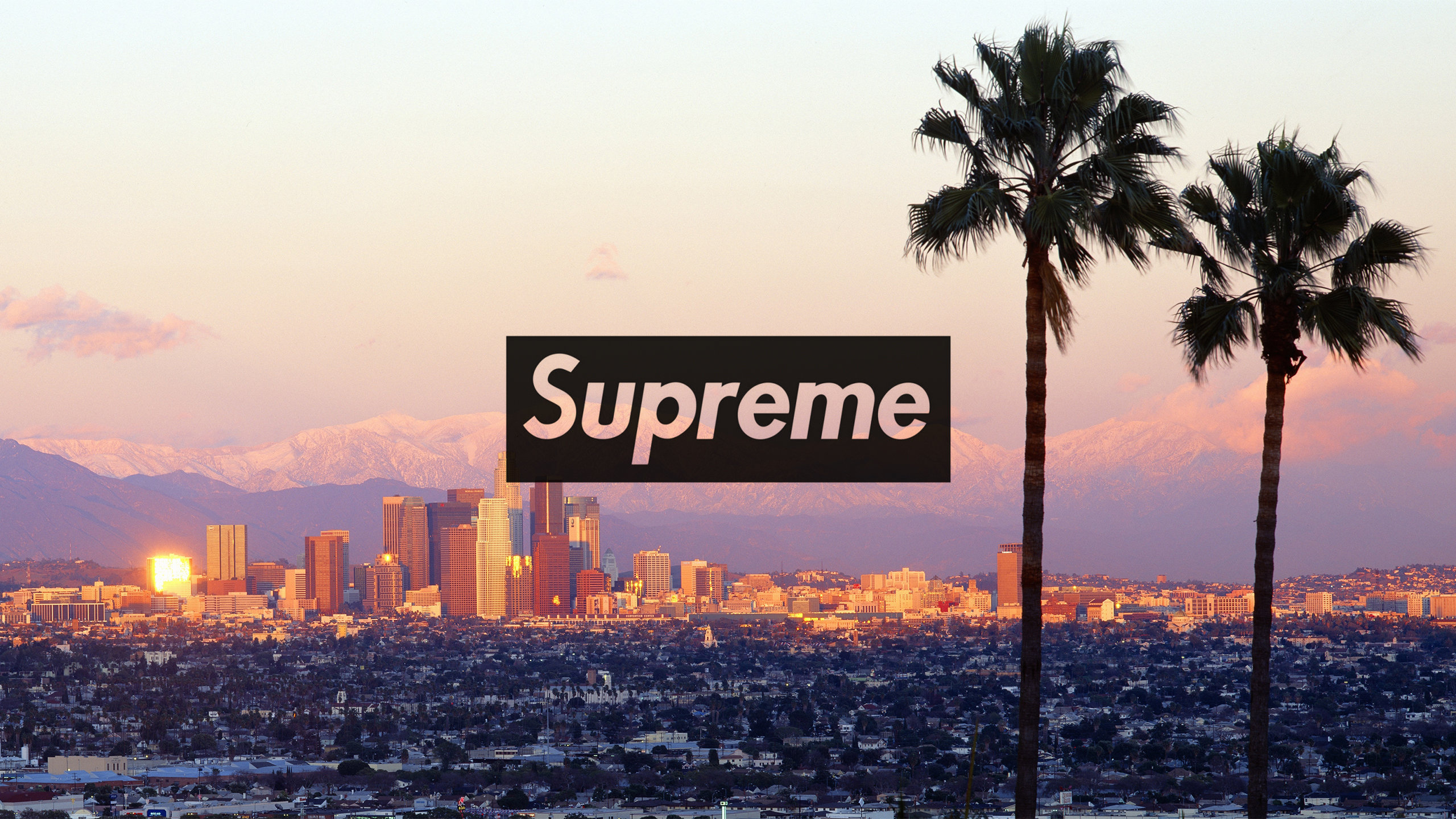 Supreme Wallpaper Desktop - HD Wallpaper 