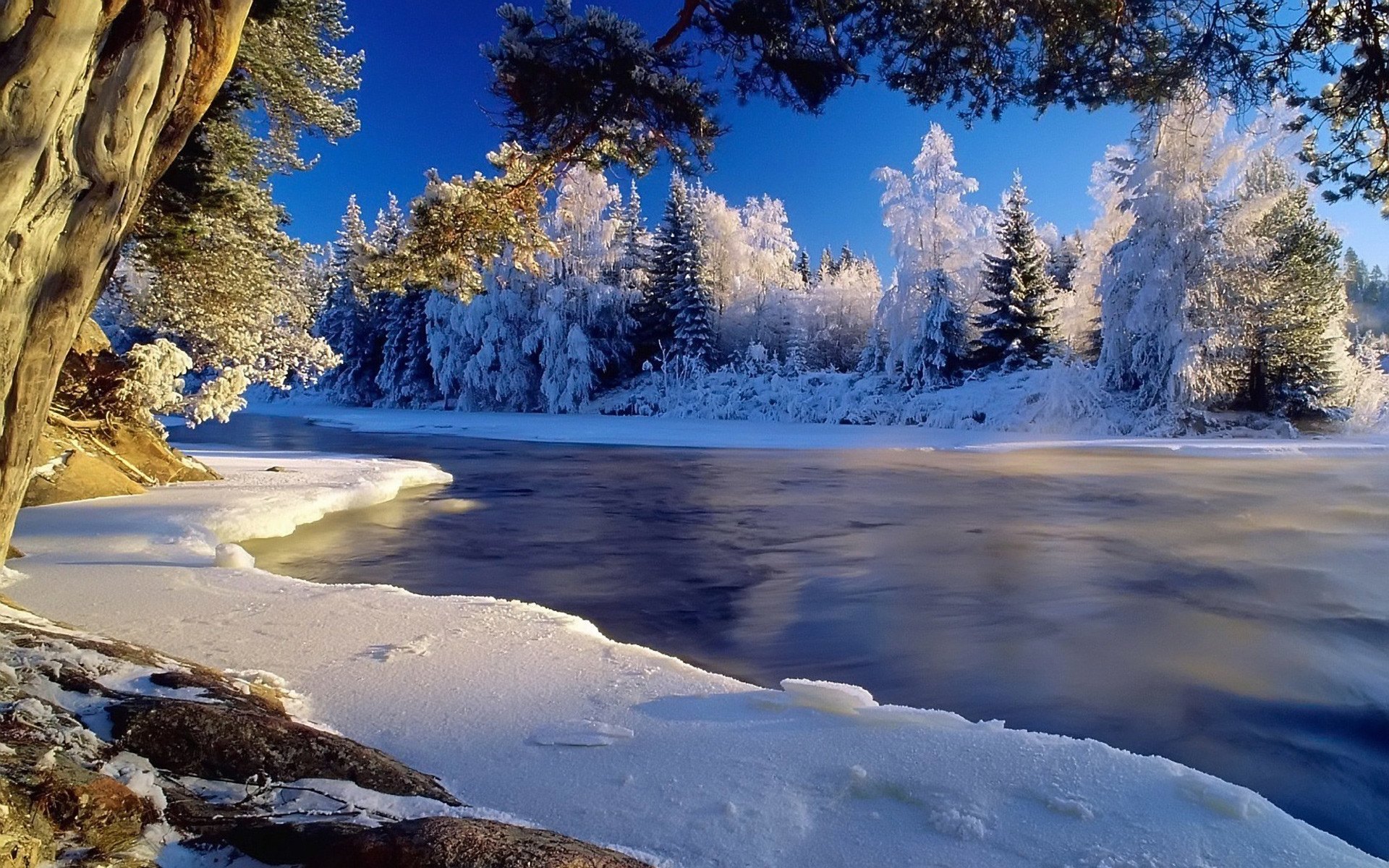 Free Screensavers And Wallpaper 
 Data-src /w/full/e/0/f/273033 - Nice Pictures Of Winter - HD Wallpaper 